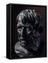 Bronze Head of Seneca, Artifact Uncovered in Villa Dei Pisoni, Herculaneum, Campania, Italy-null-Framed Stretched Canvas