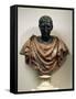 Bronze Head with Marble Bust of Julius Caesar-null-Framed Stretched Canvas