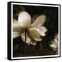 Bronze Lily II-Noah Bay-Framed Stretched Canvas