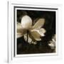 Bronze Lily II-Noah Bay-Framed Art Print