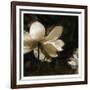 Bronze Lily II-Noah Bay-Framed Art Print