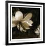 Bronze Lily II-Noah Bay-Framed Art Print