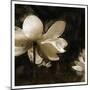 Bronze Lily II-Noah Bay-Mounted Art Print