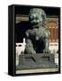 Bronze Lion Statue, Forbidden City, Beijing, China, Asia-D H Webster-Framed Stretched Canvas