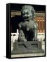 Bronze Lion Statue, Forbidden City, Beijing, China, Asia-D H Webster-Framed Stretched Canvas