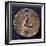 Bronze Medal with Image of Lorenzo De Medici-null-Framed Giclee Print