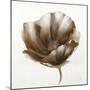 Bronze Poppy-Drotar Drotar-Mounted Giclee Print