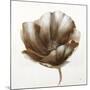 Bronze Poppy-Drotar Drotar-Mounted Giclee Print