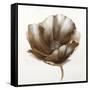 Bronze Poppy-Drotar Drotar-Framed Stretched Canvas