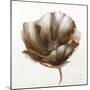 Bronze Poppy-Drotar Drotar-Mounted Giclee Print