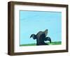 Bronze Profile #2, 1997-Marjorie Weiss-Framed Giclee Print