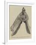 Bronze Prow of a Roman Galley from the Battle of Actium, BC 31-null-Framed Giclee Print