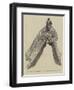 Bronze Prow of a Roman Galley from the Battle of Actium, BC 31-null-Framed Giclee Print