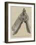 Bronze Prow of a Roman Galley from the Battle of Actium, BC 31-null-Framed Giclee Print