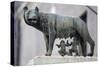 Bronze Sculpture of the She-Wolf with Romulus and Remus, Rome, Lazio, Italy-Stuart Black-Stretched Canvas