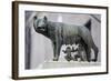 Bronze Sculpture of the She-Wolf with Romulus and Remus, Rome, Lazio, Italy-Stuart Black-Framed Photographic Print