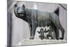Bronze Sculpture of the She-Wolf with Romulus and Remus, Rome, Lazio, Italy-Stuart Black-Mounted Photographic Print