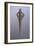 Bronze Spearhead, from Amorgos Island, Greece-null-Framed Giclee Print