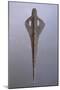 Bronze Spearhead, from Amorgos Island, Greece-null-Mounted Giclee Print