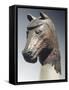 Bronze Statue Depicting Horse Head, from Karmir Blur, Armenia-null-Framed Stretched Canvas