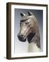 Bronze Statue Depicting Horse Head, from Karmir Blur, Armenia-null-Framed Giclee Print