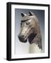 Bronze Statue Depicting Horse Head, from Karmir Blur, Armenia-null-Framed Giclee Print