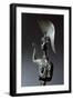 Bronze Statue Depicting Menerva in Battle, Detail-null-Framed Giclee Print