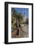 Bronze Statue of a Sailor on a Wooden Bench with Palm Trees-Eleanor Scriven-Framed Photographic Print