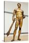 Bronze Statue of Hercules-null-Stretched Canvas