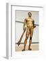 Bronze Statue of Hercules-null-Framed Photographic Print