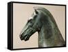 Bronze Statue of Horse-null-Framed Stretched Canvas