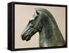 Bronze Statue of Horse-null-Framed Stretched Canvas
