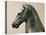Bronze Statue of Horse-null-Stretched Canvas