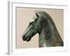 Bronze Statue of Horse-null-Framed Giclee Print