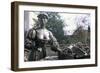 Bronze Statue of Molly Malone, Grafton Street, Dublin, County Dublin, Eire (Ireland)-Bruno Barbier-Framed Photographic Print