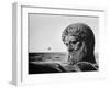 Bronze Statue of Poseidon, Greek God of the Sea-Gjon Mili-Framed Photographic Print