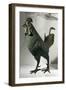 Bronze Statue of Rooster from Saône River at Lyon-null-Framed Giclee Print