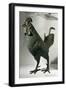 Bronze Statue of Rooster from Saône River at Lyon-null-Framed Giclee Print