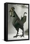 Bronze Statue of Rooster from Saône River at Lyon-null-Framed Stretched Canvas