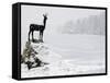 Bronze Statue of Slovenian Antelope in the Snow, Slovenia-Christian Kober-Framed Stretched Canvas