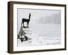 Bronze Statue of Slovenian Antelope in the Snow, Slovenia-Christian Kober-Framed Photographic Print