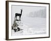 Bronze Statue of Slovenian Antelope in the Snow, Slovenia-Christian Kober-Framed Photographic Print