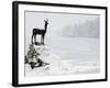 Bronze Statue of Slovenian Antelope in the Snow, Slovenia-Christian Kober-Framed Photographic Print