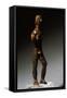Bronze Statuette of Apollo from Val Pusteria, Trentino-Alto Adige, Italy-null-Framed Stretched Canvas