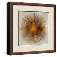Bronze Sunburst I-Abby Young-Framed Giclee Print