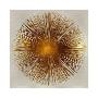 Bronze Sunburst I-Abby Young-Framed Giclee Print