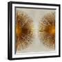 Bronze Sunburst II-Abby Young-Framed Art Print