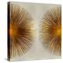 Bronze Sunburst II-Abby Young-Stretched Canvas