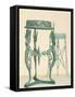 Bronze Tripod, from the Houses and Monuments of Pompeii-Fausto and Felice Niccolini-Framed Stretched Canvas