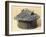 Bronze Urn Shaped Like Hut, from Vulci-null-Framed Giclee Print